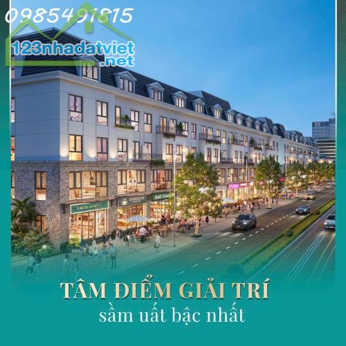 BIỆT THỰ CENTRAL RIVERSIDE - AN CƯ LÝ TƯỞNG, KẾT NỐI THỊNH VƯỢNG - 4