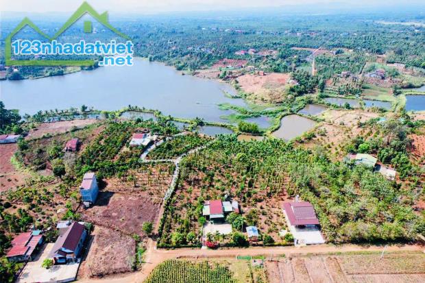 Bán Đất view Hồ và cánh đồng 600m2 có 160 Thổ Cư Tặng 800m2 Đất Ruộng.