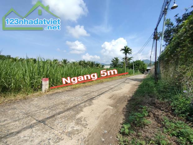 Bán đất Diên Phước giá rẻ full thổ cư đường bê tông oto tới nơi - 4