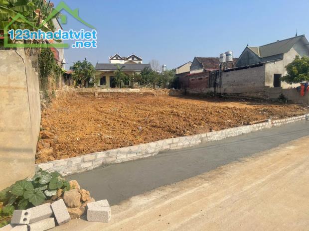 Chính chủ em bán 500m2 full thổ cư  Tại Nam Phương Tiến Chương Mỹ Hà Nội Bám đường bê tông - 2