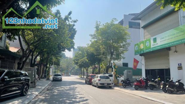 Bán đất mặt phố Nguyễn Du , Khai Quang, dt 100m2 giá 5.x tỷ