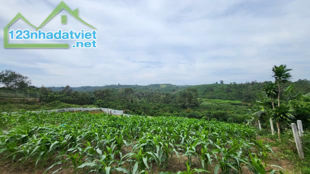 Bán đất Bảo Lộc.DT 1546m2 (có thổ cư).Cách QL.20 chỉ 1,8km.View siêu đỉnh.Hạ Giá Shock - 3