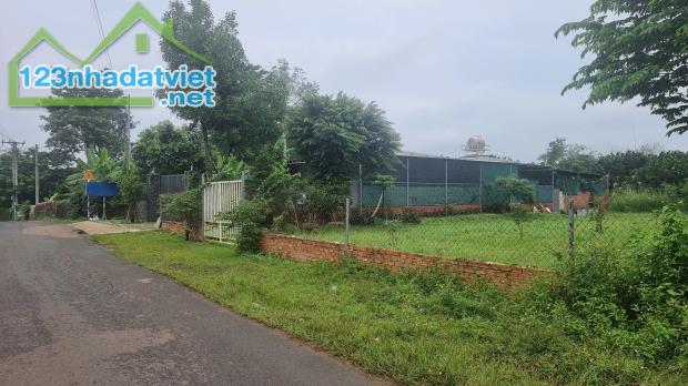 Bán 1082m2 đất vườn gần nhà thờ Lộc Hòa-Trảng Bom. Đường 6m. Đất tốt, trồng được sầu riêng - 4