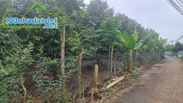Bán 1082m2 đất vườn gần nhà thờ Lộc Hòa-Trảng Bom. Đường 6m. Đất tốt, trồng được sầu riêng - 2