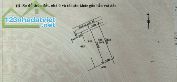 Chính chủ cần bán đất ở đường Huỳnh Thị Dần- Bình Mỹ Củ Chi - 1