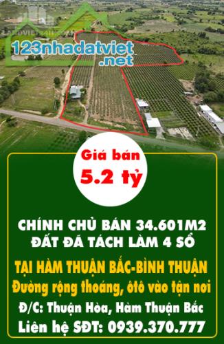 CHÍNH CHỦ BÁN 34.601M2 ĐẤT ĐÃ TÁCH LÀM 4 SỔ GIÁ CHỈ 150K/M2 TẠI HÀM THUẬN BẮC-BÌNH THUẬN