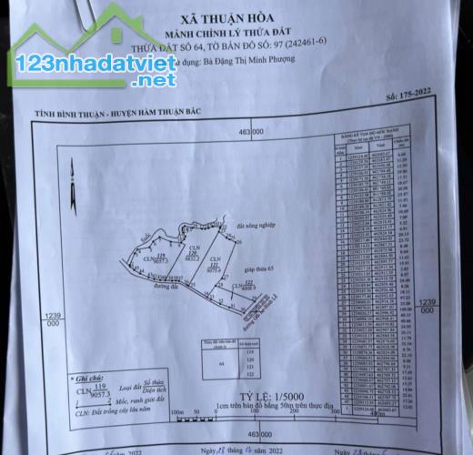 CHÍNH CHỦ BÁN 34.601M2 ĐẤT ĐÃ TÁCH LÀM 4 SỔ GIÁ CHỈ 150K/M2 TẠI HÀM THUẬN BẮC-BÌNH THUẬN - 1