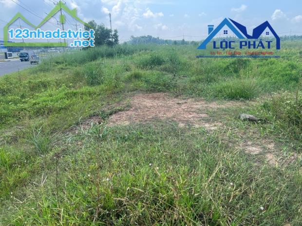 Bán đất xây dựng xưởng giá chỉ 90 tỷ: 18.300m2. KCN Trảng Bom-Đồng Nai - 3