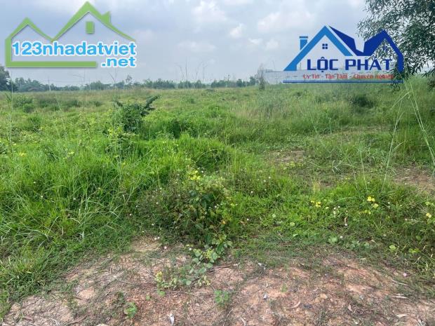 Bán đất xây dựng xưởng giá chỉ 90 tỷ: 18.300m2. KCN Trảng Bom-Đồng Nai - 1
