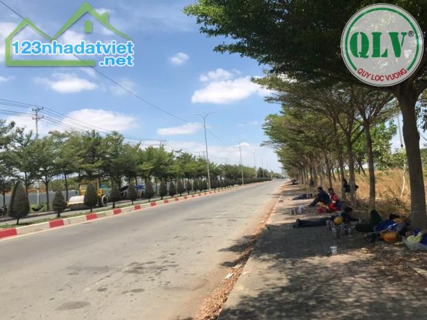 Bán đất 30.000 m2 trong KCN Cái Mép, BRVT - 2