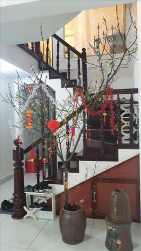 BÁN NHÀ PHÂN LÔ LIỀN KỀ ĐƯỜNG HỒNG HÀ - BA ĐÌNH - 32M2 - GIÁ 11,4 TỶ - 2