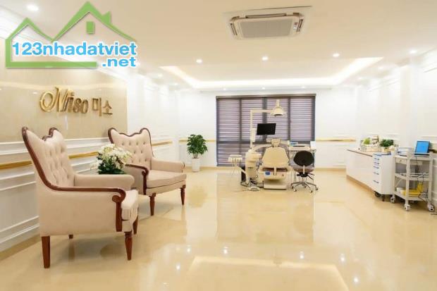 HÀNG HIẾM THANG MÁY CẦN BÁN GẤP NGÕ 35 CÁT LINH DT66m2, ÔTÔ KINH DOANH - 2