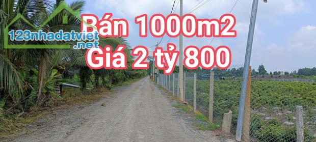 BÁN 1000M2 - ĐẤT VƯỜN - GIÁ CHỈ 2 TỶ 800- BÌNH LỢI - BÌNH CHÁNH