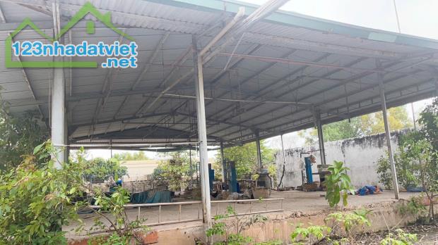 5000m2 Đất Xuân Thới Sơn Hóc Môn giá chỉ 10 triệu MV. - 2