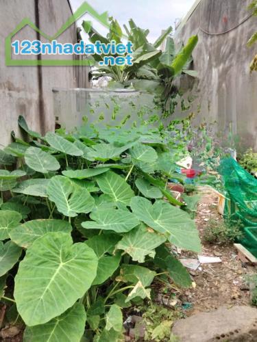 Bán đất dân, 100M2, Thổ cư, đường ô tô tránh nhau, Phước Thiền, Nhơn Trạch. - 3