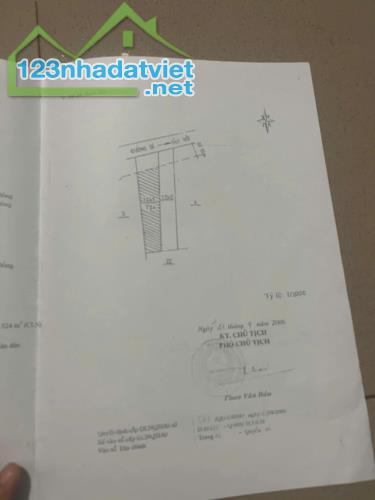 CHÍNH CHỦ Cần Bán Nhanh Đất Mặt Tiền Đường Nhựa Tân Thành, Đức Trọng, Lâm Đồng - 3