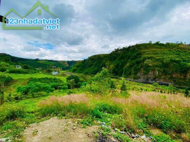 Đà Lạt- mảnh đất thích hợp làm  homestay, khu nghỉ dưỡng - 2