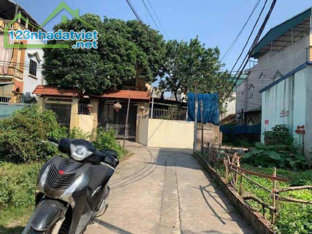 🏠 Nhà 3 TẦNG PHÂN LÔ CỰC ĐẸP-GIANG CHÍNH-BIÊN GIANG - 1