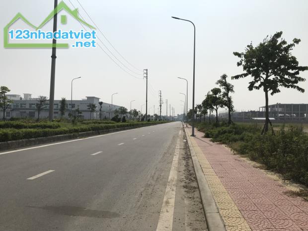 Bán lô 20.000m2 khu công nghiệp Hòa Phú – Bắc Giang - 2