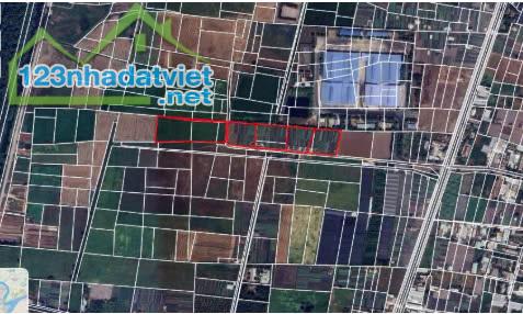 CHỦ KẸT VỐN NÊN CẦN BÁN 16000M2 ĐẤT LÚA NGAY NGÃ BA GIỒNG - GIÁ 30 TỶ THƯƠNG LƯƠNG - 3