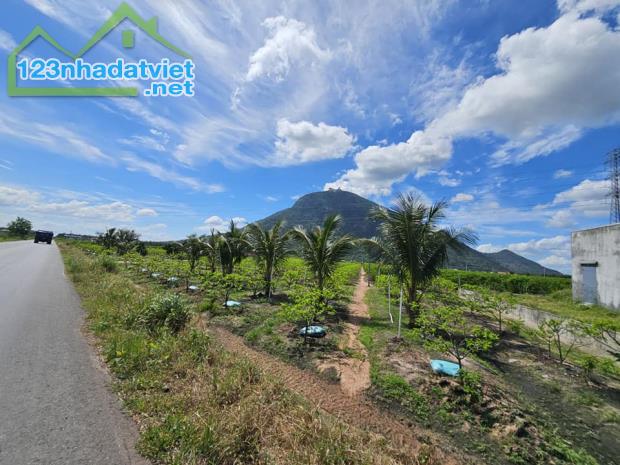 Bán lô đất thổ cư lưng tựa núi mặt hướng sông 200m2, giá 550tr view núi Bà Đen, Tây Ninh - 3