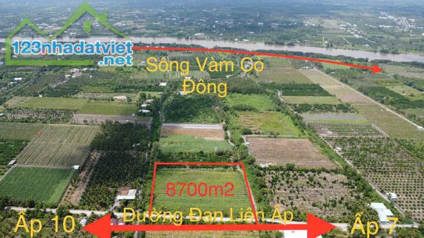 8706m2 đất vườn ấp 8 xã Lương Hòa, Bến Lức, Long An giá 18 tỷ - 2