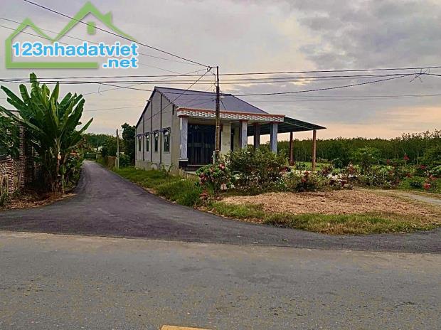 bán gấp đất mặt tiền đường nhựa lộc hưng hương lộ 2 làm kho xưởng nhà vườn 40m ngang - 1