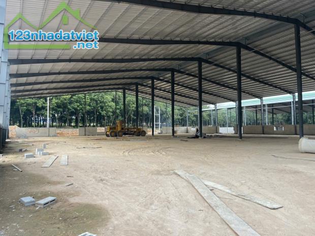 Cho Thuê 6.600m2  Xưởng Mới 100% Ngoài KCN Bàu Bàng Bình Dương Giấy Tờ Đầy Đủ - 3