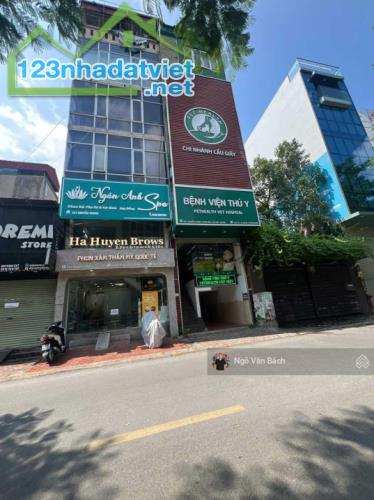 Bán gấp tòa Building mặt phố Nguyễn Khang, dòng tiền 1.8 tỷ/năm, thông sàn 90m2 chỉ 45 tỷ