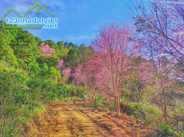 🌸🌸🌸🌸🌸🌸🌸🌸🌸 CHO THUÊ HOMESTAY VIEW ĐẸP, GẦN TRUNG TÂM ĐƯỜNG KHỞI NGHĨA BÁC SƠN, P10 - 5