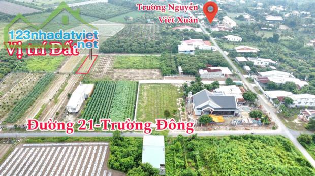 Ngộp đậm sâu đất thị xã Hòa Thành hơn 160m2 full thổ cư sổ đường 10m chỉ 4xxtr - 3