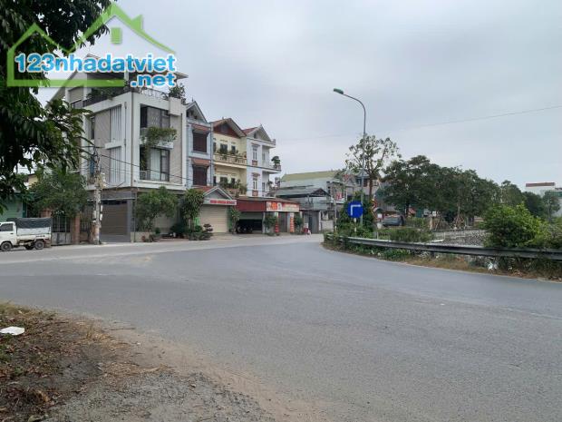 BÁN ĐẤU GIÁ SƠN DU NGUYÊN KHÊ 8X - 3