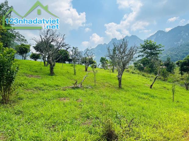 Bán Đất 700m² Tại Mộc Châu – Vị Trí Đẹp, Gần Thác Dải Yếm, Thích Hợp Kinh Doanh Homestay &