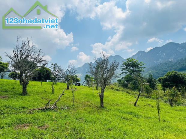 Bán Đất 700m² Tại Mộc Châu – Vị Trí Đẹp, Gần Thác Dải Yếm, Thích Hợp Kinh Doanh Homestay & - 2