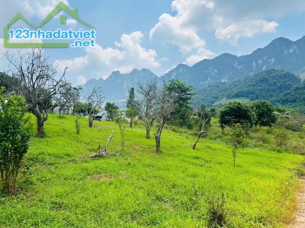 Bán Đất 700m² Tại Mộc Châu – Vị Trí Đẹp, Gần Thác Dải Yếm, Thích Hợp Kinh Doanh Homestay & - 5