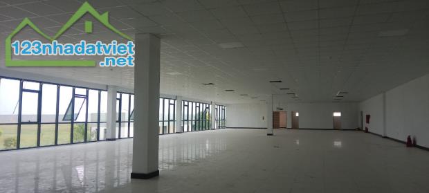 Bán nhà xưởng 14.500m2 Khu Công nghiệp Yên Phong – Bắc Ninh - 2