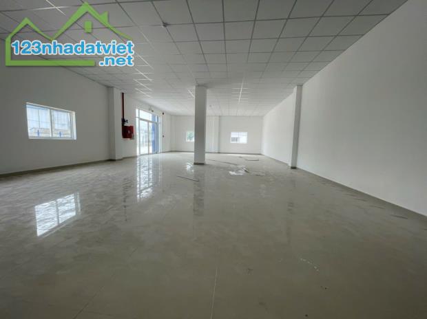 Cho Thuê 2.200m2 Nhà Xưởng Mới 100% Trong KCN Bến Cát Bình Dương - 3