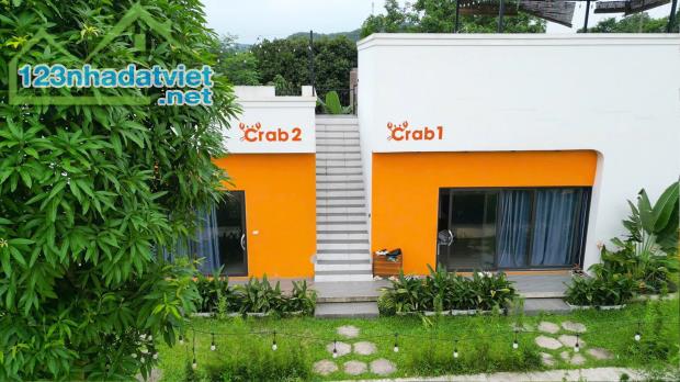 Bán gấp khuôn viên homestay 4000M2_vận hành tốt doanh thu 1tỷ/năm_lương sơn hoà bình_1x tỷ - 4