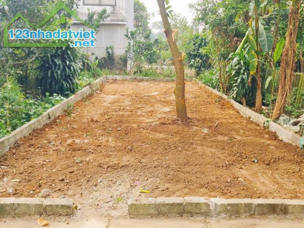 ngay QUỐC LỘ 80m2 THỔ CƯ Ô TÔ TRÁNH chỉ hơn 1 tỷ Thuỷ Xuân Tiên Chương Mỹ HN - 3