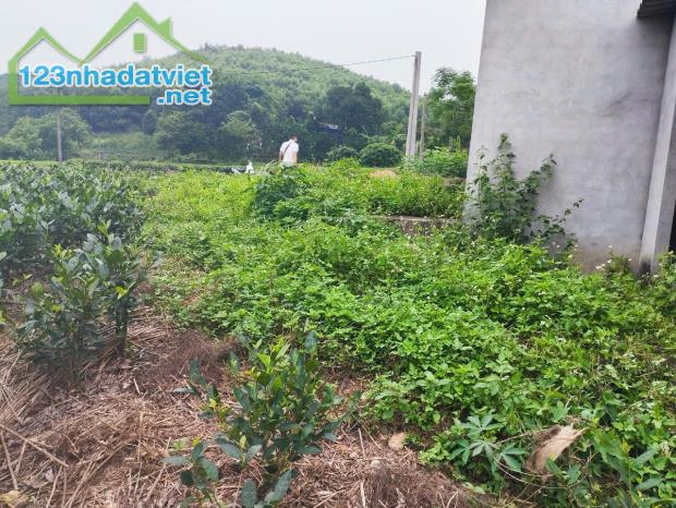 HOT. Bán đất giá rẻ 200m2 tại Phúc Xuân, Thái Nguyên