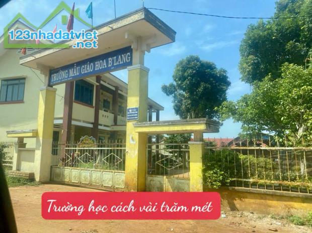 500m2 phủ hồng lên thổ cư được Ea Hồ- Krong Năng giá chỉ 269tr đất trồng cà phê, tiêu tốt - 1