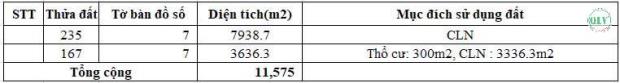 Cơ hội đầu tư hấp dẫn bán đất nhà xưởng diện tích 98.280 m2 kcn Nhơn Trạch, Đồng Nai - 4