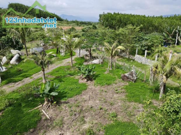 Bán đất vườn Khánh Đông giá rẻ gần Tỉnh Lộ 8 - đã lên mô hình farm cơ bản - 5