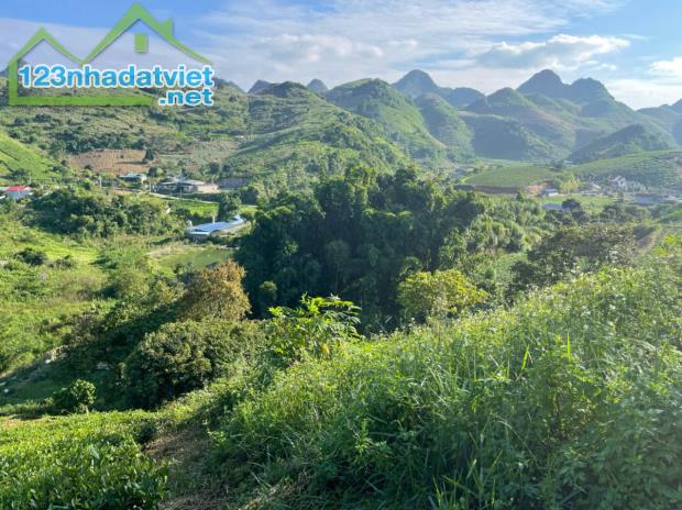 🌿 Siêu phẩm đất nghỉ dưỡng 1,2ha tại Mộc Châu – View đồi chè tuyệt đẹp, độc nhất thị trườ - 4