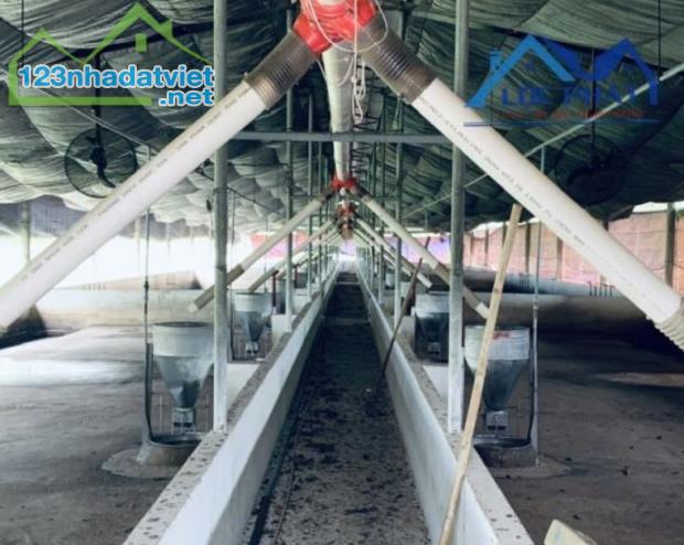 Bán trang trại tại xã Hưng Thịnh Trảng Bom Đồng Nai 13250m2 giá 17 tỷ 5 - 3