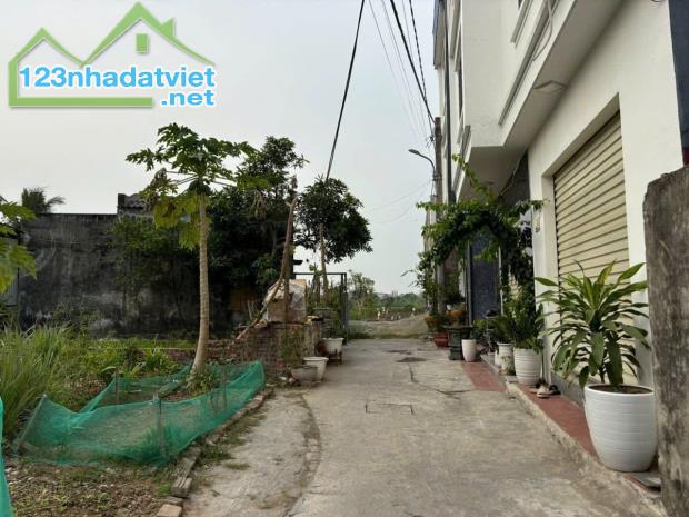 🏘️🏘️Bán lô đất ngõ 54 Tràng Cát, Hải An 56m2 giá chỉ 990 triệu - 1