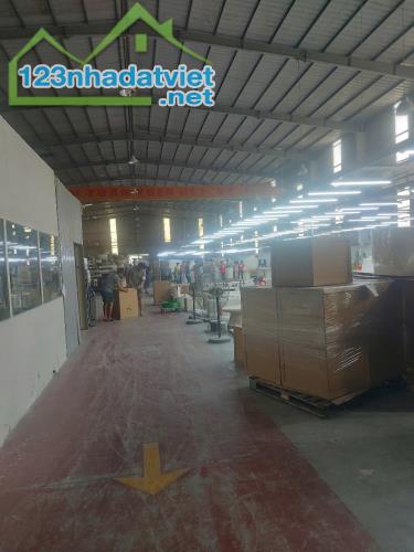 Cho Thuê nhà xưởng 9000m2 Trong KCN Thủ Dầu 1, Bình Dương - 3