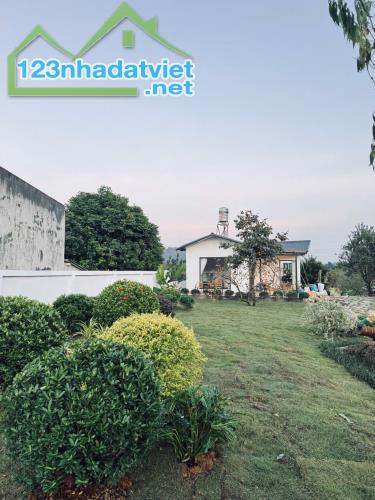 Bán Homestay Siêu Đẹp Tại Mộc Châu, View Đồi Chè & Vườn Hồng, Khu Vực Du Lịch Hot - 1