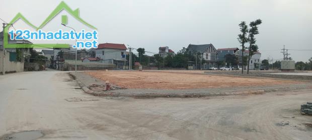 Đất đấu giá Đông Lai, Quang Tiến, Sóc Sơn Sơn, HN. Dt từ 90-190m2, Mt 5-13m - 3