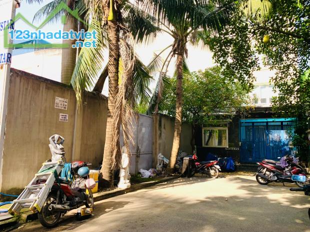 Bán Đất Xây Biệt Thự Khu Compound Đường Trần Não,Bình An,Q2 DT:353m2(13mx27m) Giá 155Tr/m2 - 3